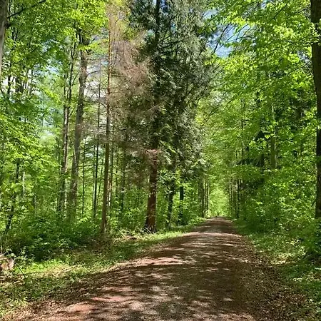 Apartmán Wohlfuehlwohnung Im Erdgeschoss Reutlingen