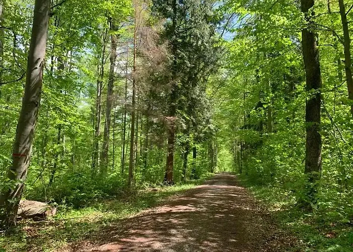 Апартаменты Wohlfuehlwohnung Im Erdgeschoss Ройтлинген